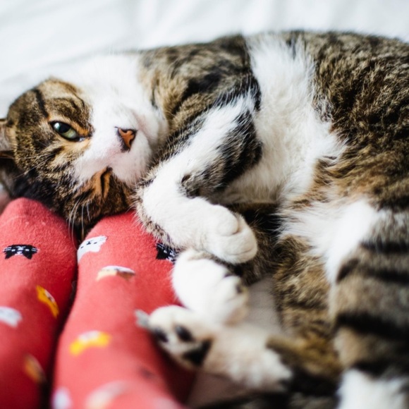 Open for business 24/7 🤩 - Picture 10 of 16